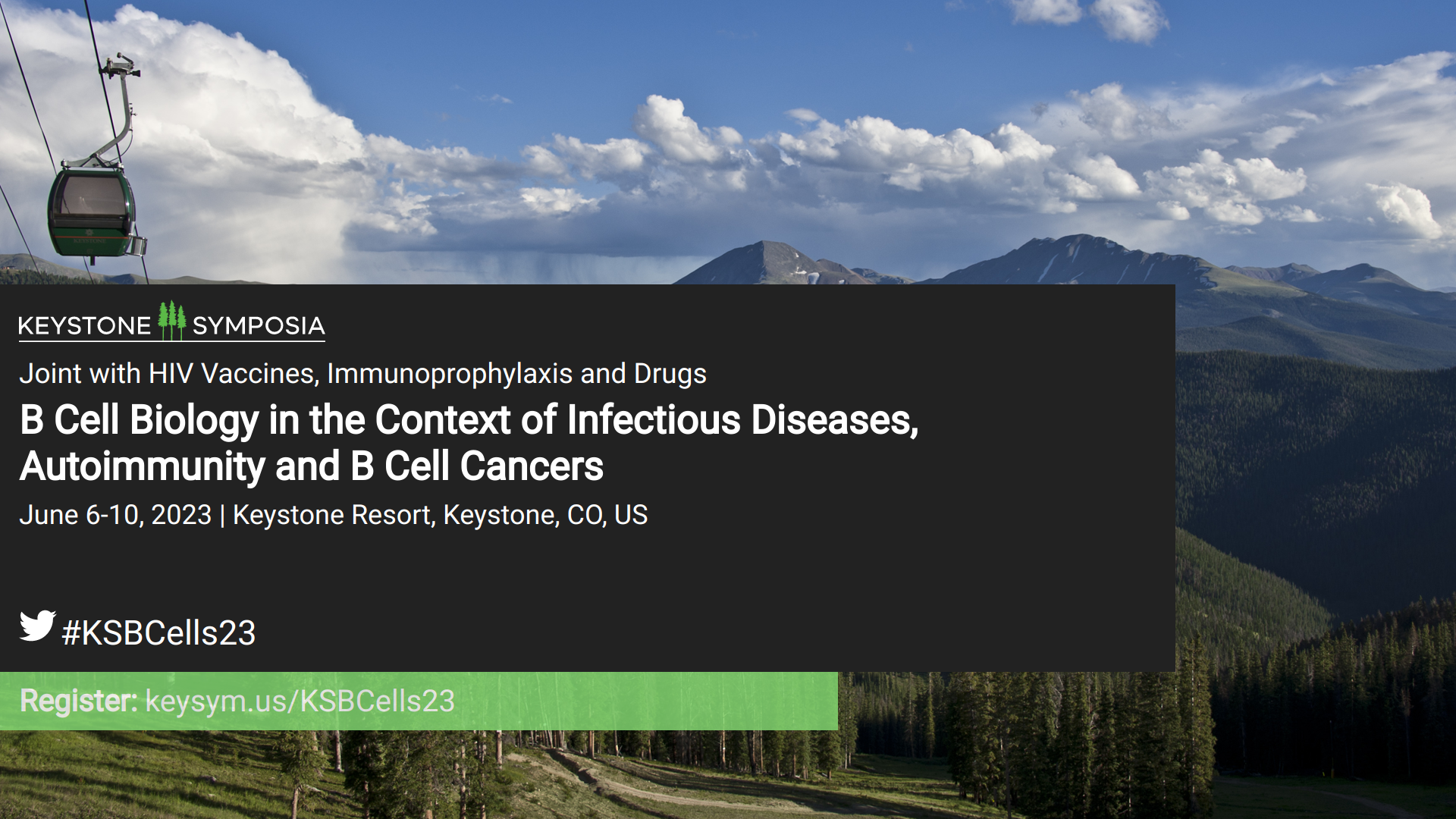 B Cell Biology In The Context Of Infectious Diseases, Autoimmunity And ...